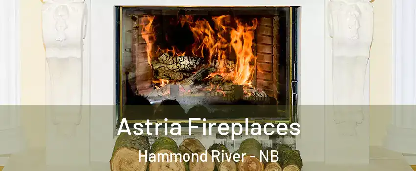  Astria Fireplaces Hammond River - NB