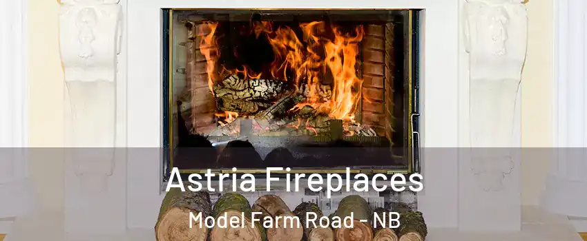  Astria Fireplaces Model Farm Road - NB