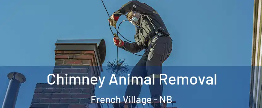  Chimney Animal Removal French Village - NB