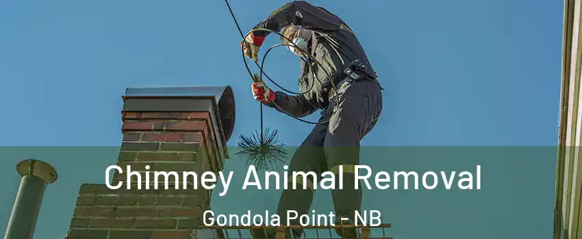  Chimney Animal Removal Gondola Point - NB