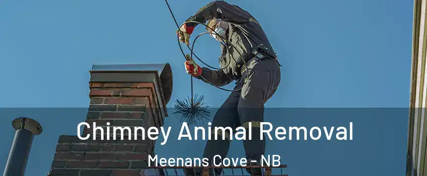  Chimney Animal Removal Meenans Cove - NB