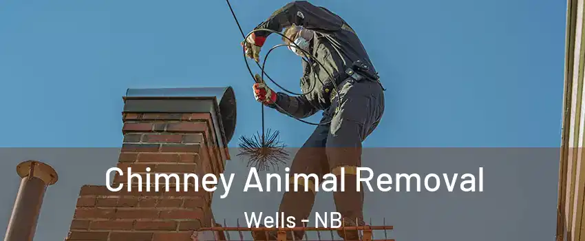  Chimney Animal Removal Wells - NB