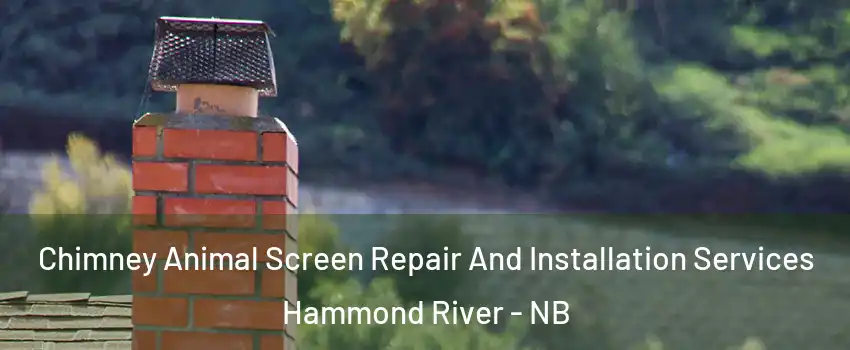  Chimney Animal Screen Repair And Installation Services Hammond River - NB