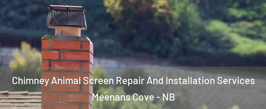  Chimney Animal Screen Repair And Installation Services Meenans Cove - NB