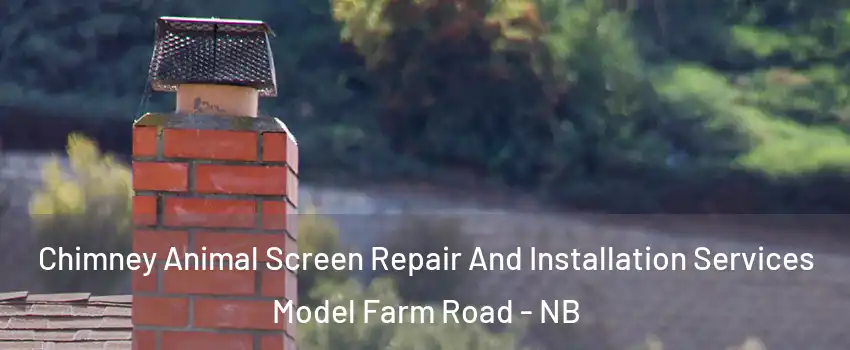  Chimney Animal Screen Repair And Installation Services Model Farm Road - NB