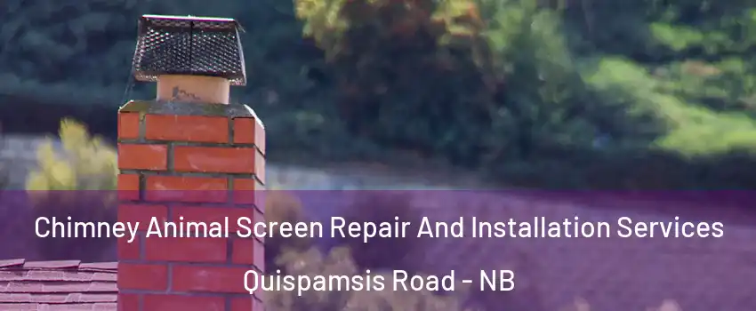  Chimney Animal Screen Repair And Installation Services Quispamsis Road - NB