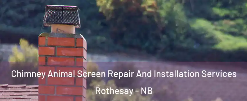  Chimney Animal Screen Repair And Installation Services Rothesay - NB