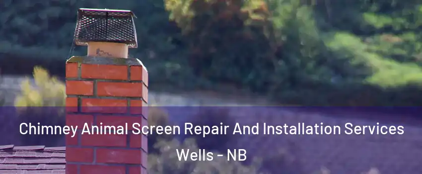  Chimney Animal Screen Repair And Installation Services Wells - NB