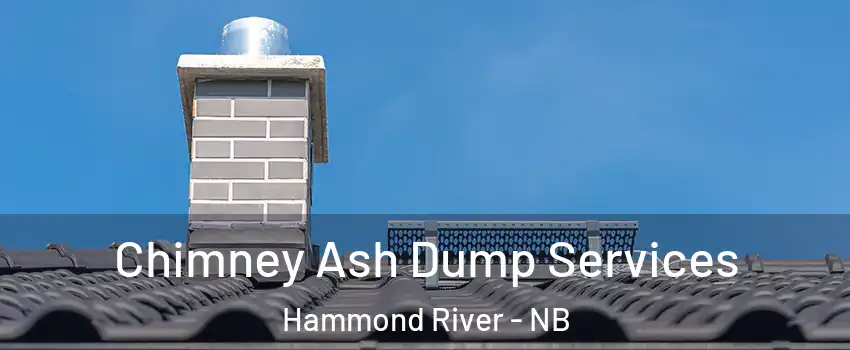  Chimney Ash Dump Services Hammond River - NB
