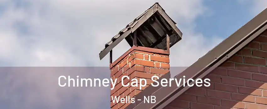  Chimney Cap Services Wells - NB
