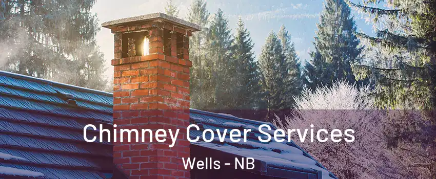  Chimney Cover Services Wells - NB