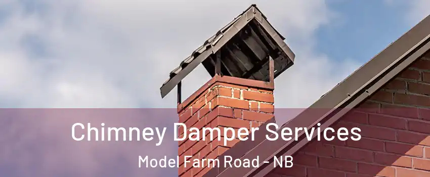 Chimney Damper Services Model Farm Road - NB
