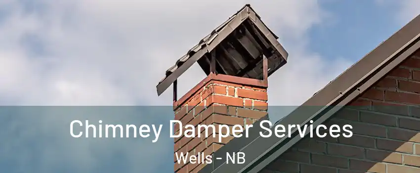  Chimney Damper Services Wells - NB
