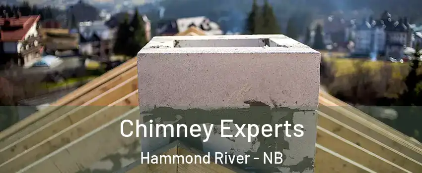  Chimney Experts Hammond River - NB