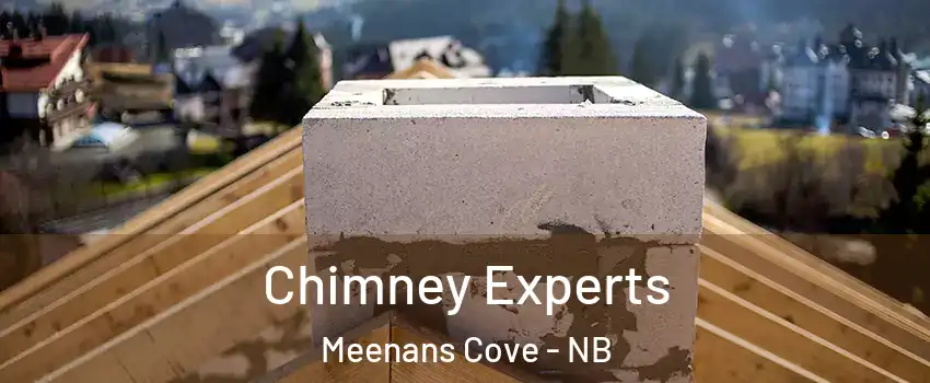 Chimney Experts Meenans Cove - NB