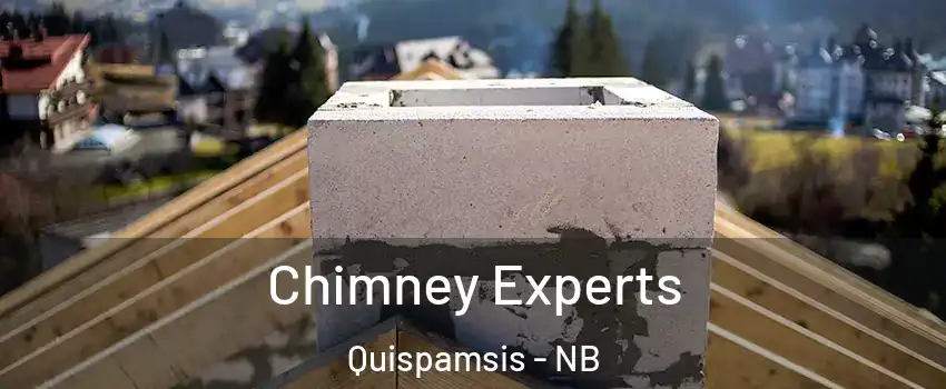  Chimney Experts Quispamsis - NB