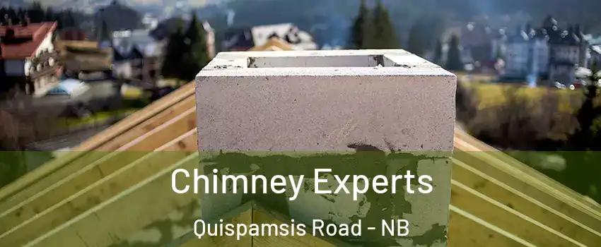  Chimney Experts Quispamsis Road - NB