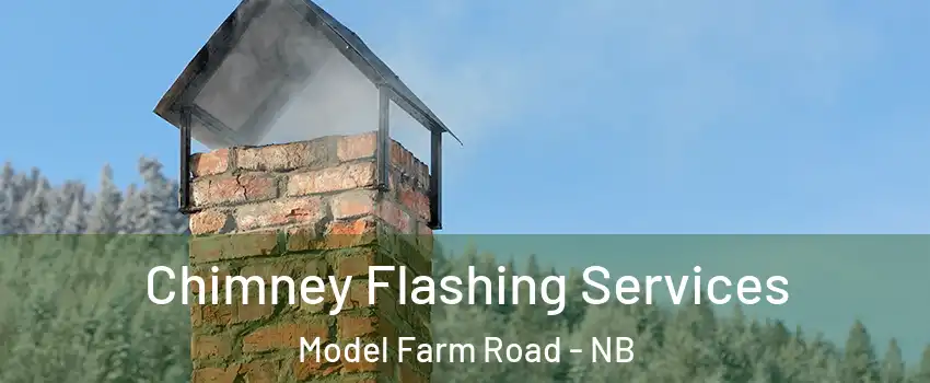  Chimney Flashing Services Model Farm Road - NB