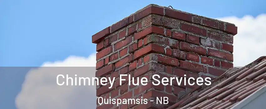 Chimney Flue Services Quispamsis - NB
