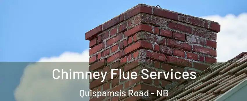  Chimney Flue Services Quispamsis Road - NB