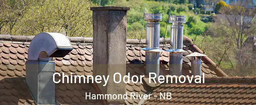  Chimney Odor Removal Hammond River - NB
