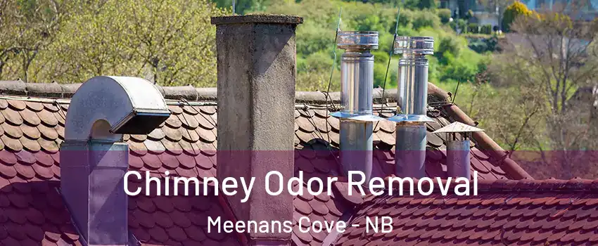  Chimney Odor Removal Meenans Cove - NB