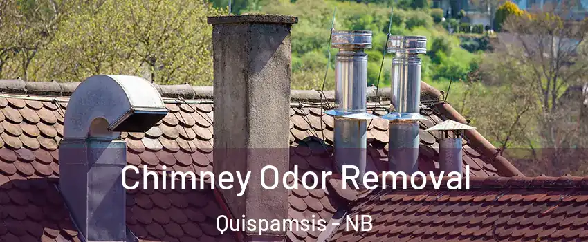 Chimney Odor Removal Quispamsis - NB