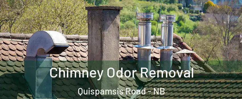  Chimney Odor Removal Quispamsis Road - NB