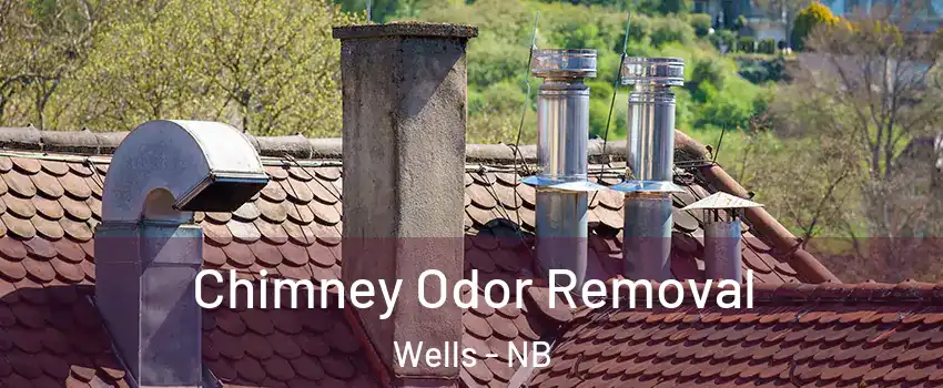  Chimney Odor Removal Wells - NB