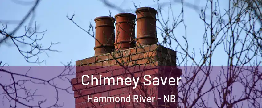  Chimney Saver Hammond River - NB
