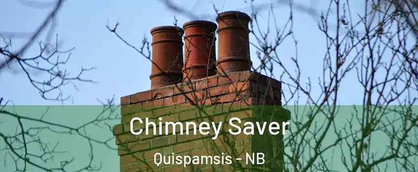  Chimney Saver Quispamsis - NB