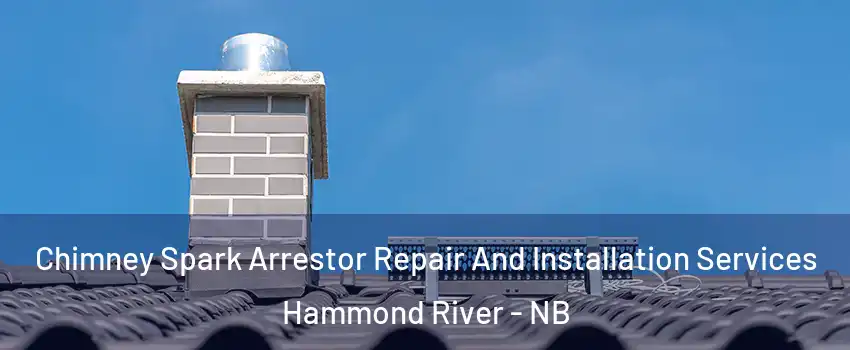  Chimney Spark Arrestor Repair And Installation Services Hammond River - NB