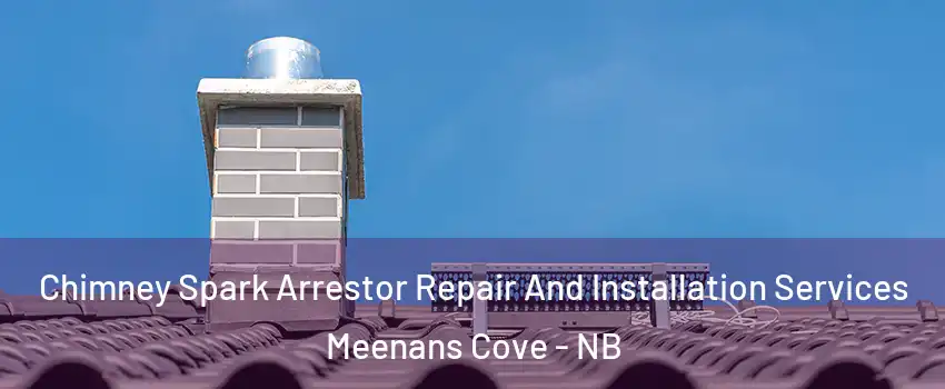  Chimney Spark Arrestor Repair And Installation Services Meenans Cove - NB