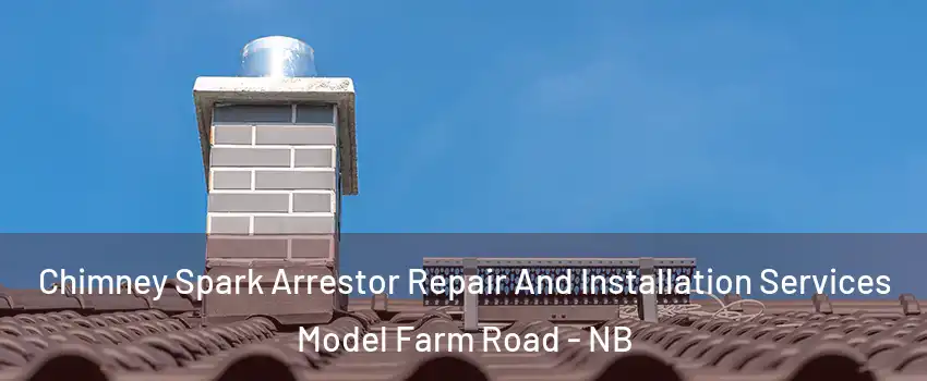  Chimney Spark Arrestor Repair And Installation Services Model Farm Road - NB