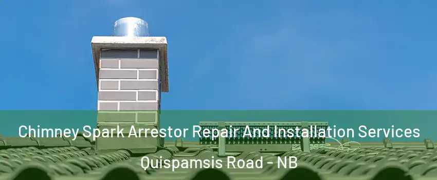  Chimney Spark Arrestor Repair And Installation Services Quispamsis Road - NB