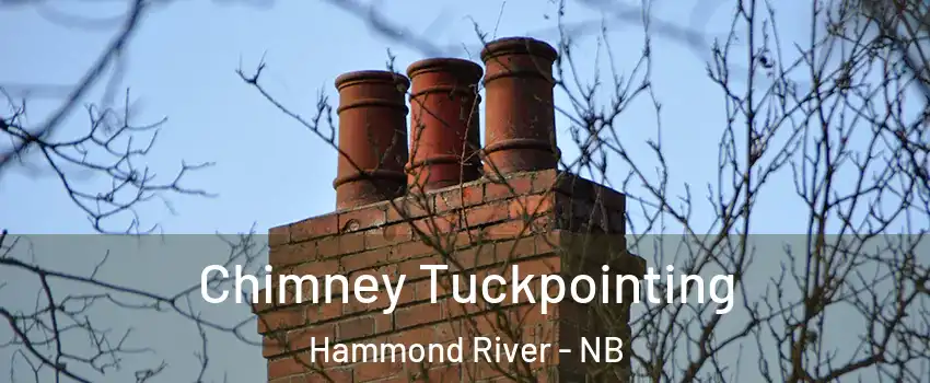  Chimney Tuckpointing Hammond River - NB