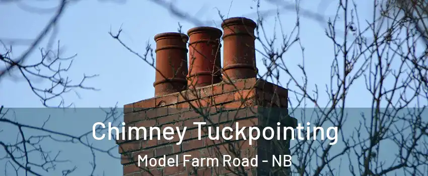  Chimney Tuckpointing Model Farm Road - NB