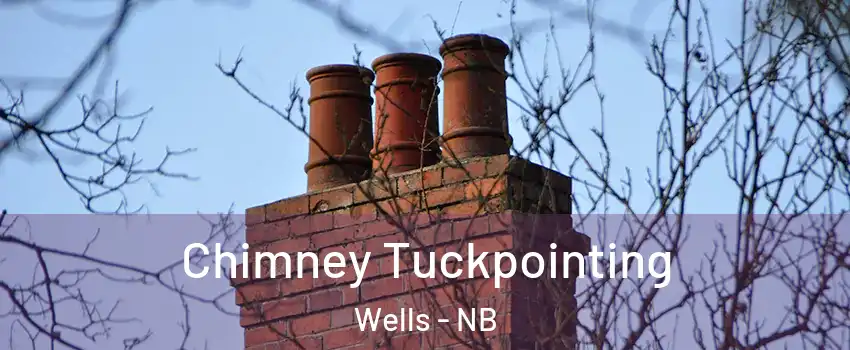  Chimney Tuckpointing Wells - NB
