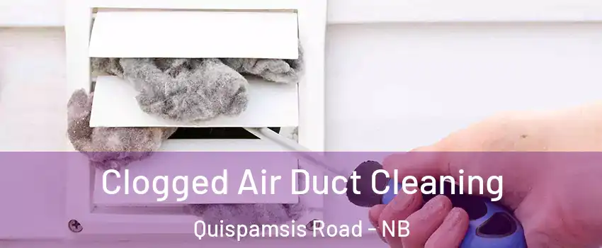 Clogged Air Duct Cleaning Quispamsis Road - NB