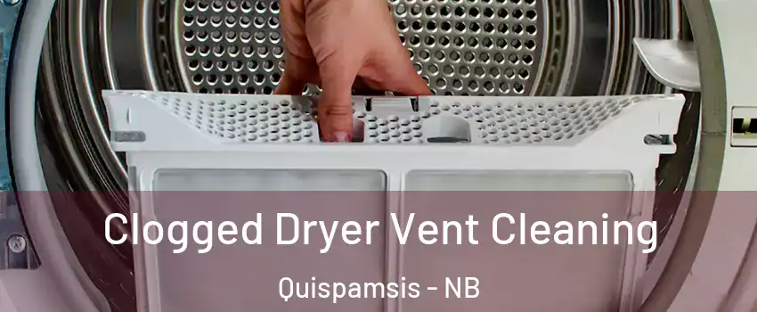 Clogged Dryer Vent Cleaning Quispamsis - NB