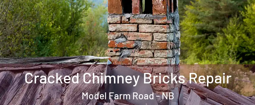  Cracked Chimney Bricks Repair Model Farm Road - NB