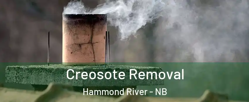  Creosote Removal Hammond River - NB