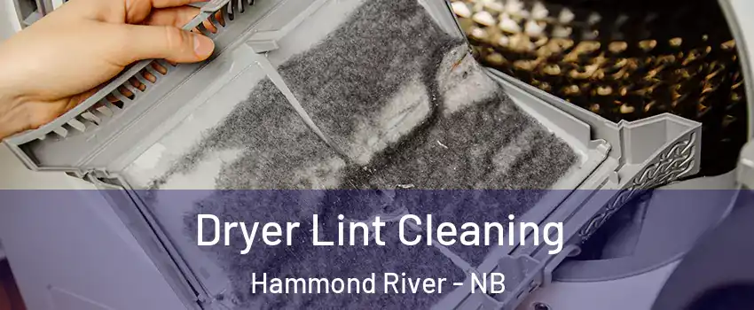  Dryer Lint Cleaning Hammond River - NB