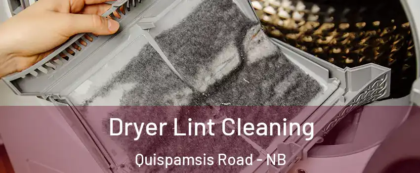  Dryer Lint Cleaning Quispamsis Road - NB