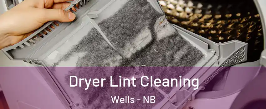  Dryer Lint Cleaning Wells - NB