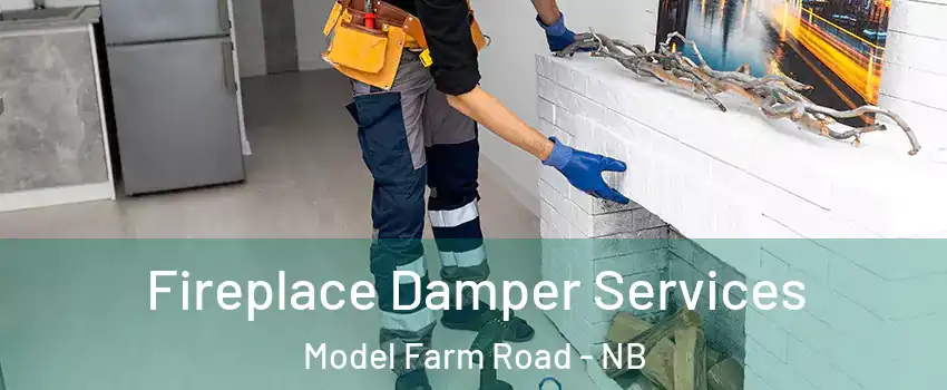  Fireplace Damper Services Model Farm Road - NB