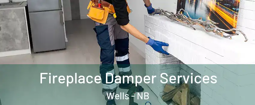  Fireplace Damper Services Wells - NB