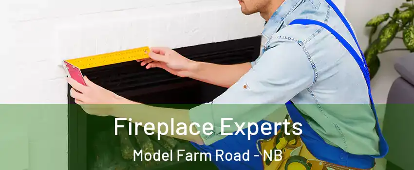  Fireplace Experts Model Farm Road - NB