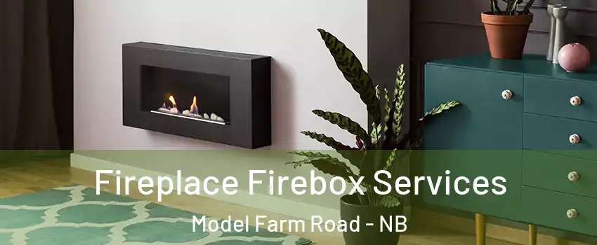  Fireplace Firebox Services Model Farm Road - NB