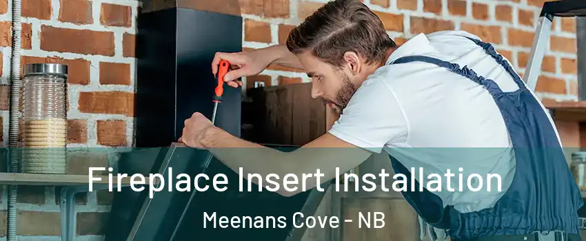  Fireplace Insert Installation Meenans Cove - NB